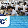 Công Ty Xuất Khẩu Hàng May Mặc