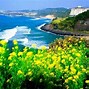 Đảo Jeju Có Cần Xin Visa Không