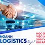 Sinh Viên Logistics Ra Trường Làm Gì