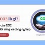 Tính Chất Hóa Học Của Khí Carbon Dioxide Là Gì