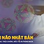 Triệu Chứng Sau Tiêm Viêm Não Nhật Bản